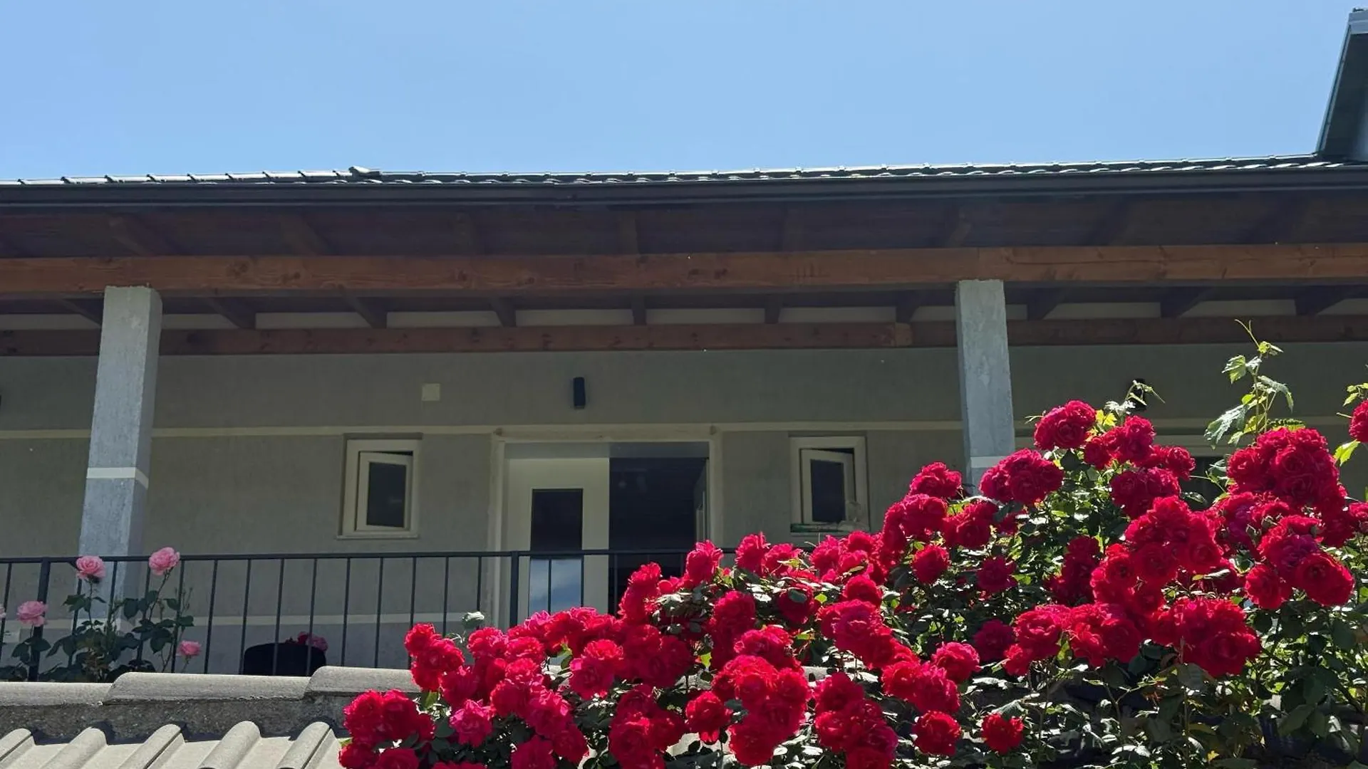 Guest house Shtepia Me Lule Hotel Permet